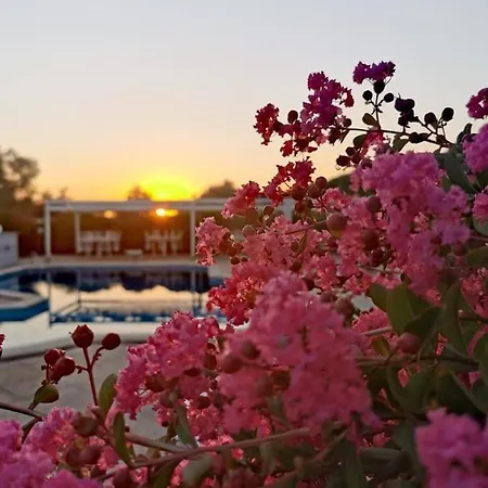 Bed & Breakfast Peperosa And Events 3*